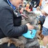 dog walk 2013-5177
